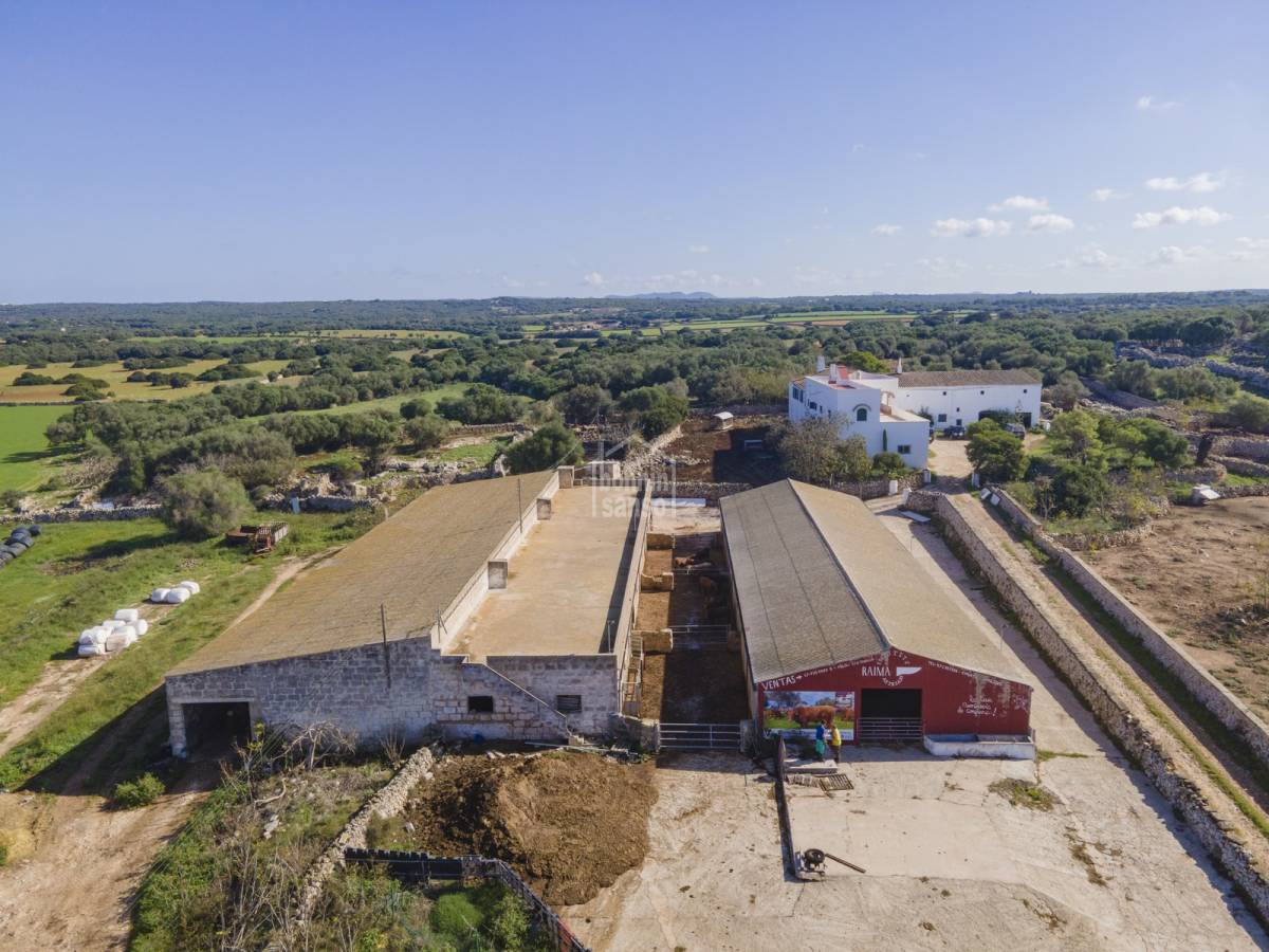 Hus i Ciutadella De Menorca, Menorca, Spanien 15 sovrum, 2247 kvm. Nr. 65231