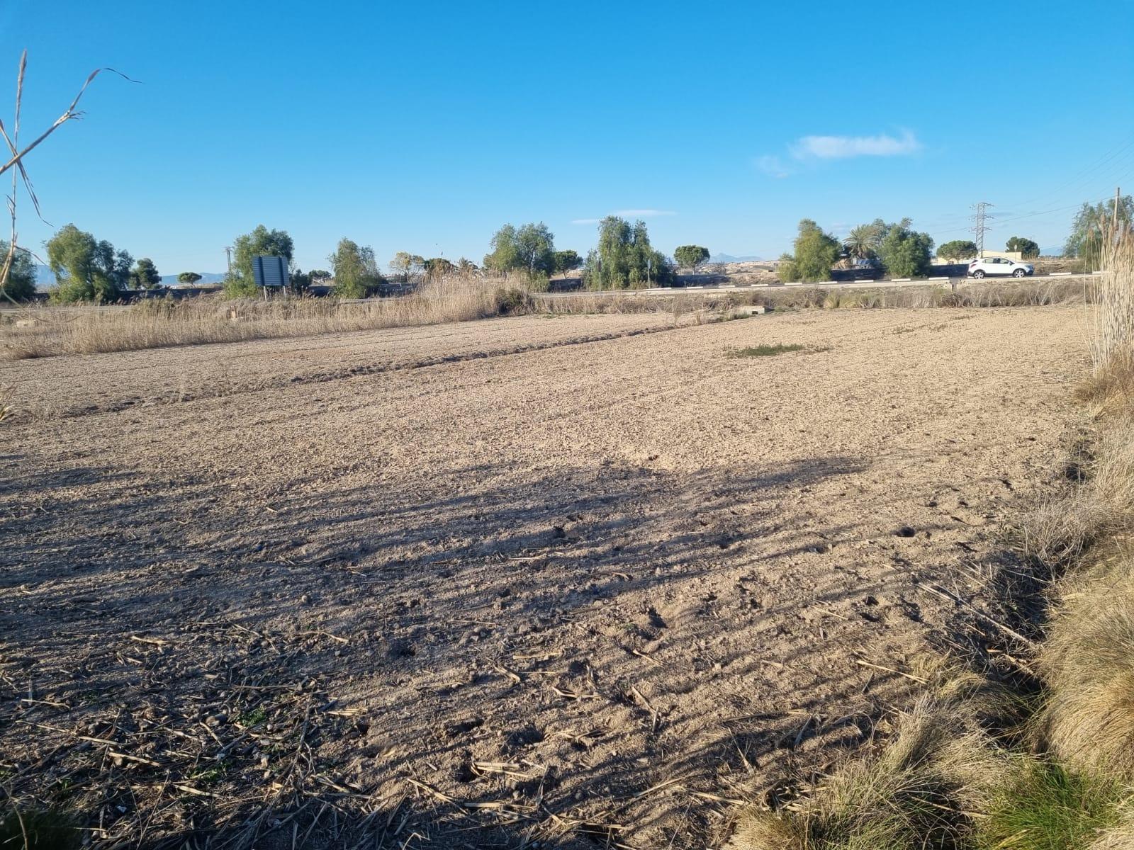 Land in Guardamar del Segura, Alicante, Spanien Nr. 183623