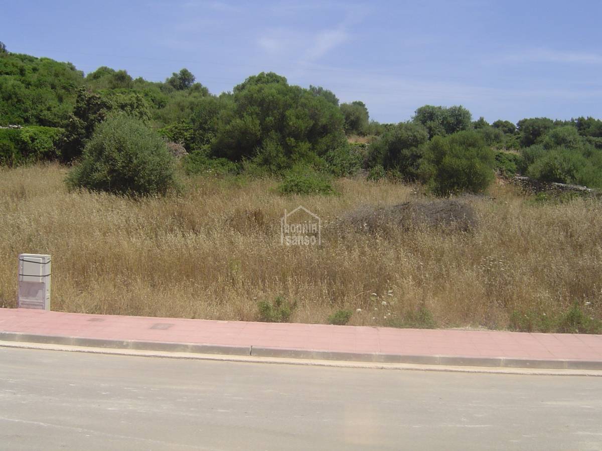Terreno a Alaior, Menorca, Spagna N° 183244
