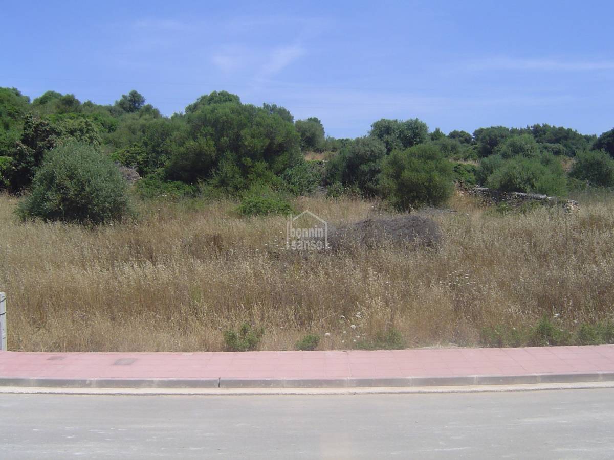 Terreno a Alaior, Menorca, Spagna N° 183244