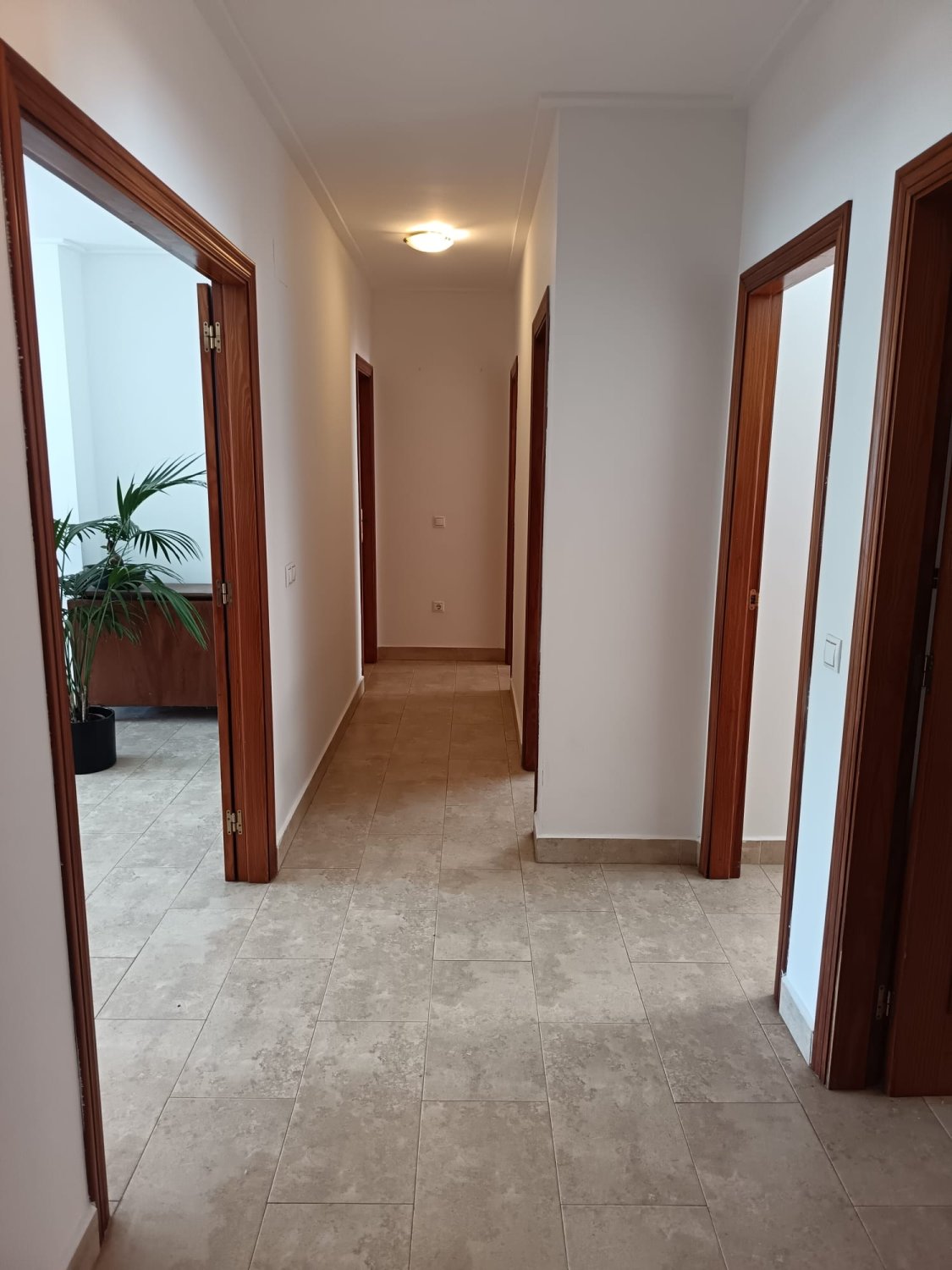 Villetta a schiera a Alicante, Spagna 3 camere da letto, 332 mq. N° 192470