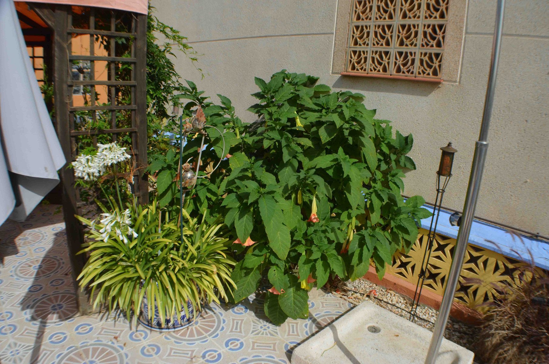 Villa a La Florida, Alicante, Spagna 4 camere da letto, 145 mq. N° 78757
