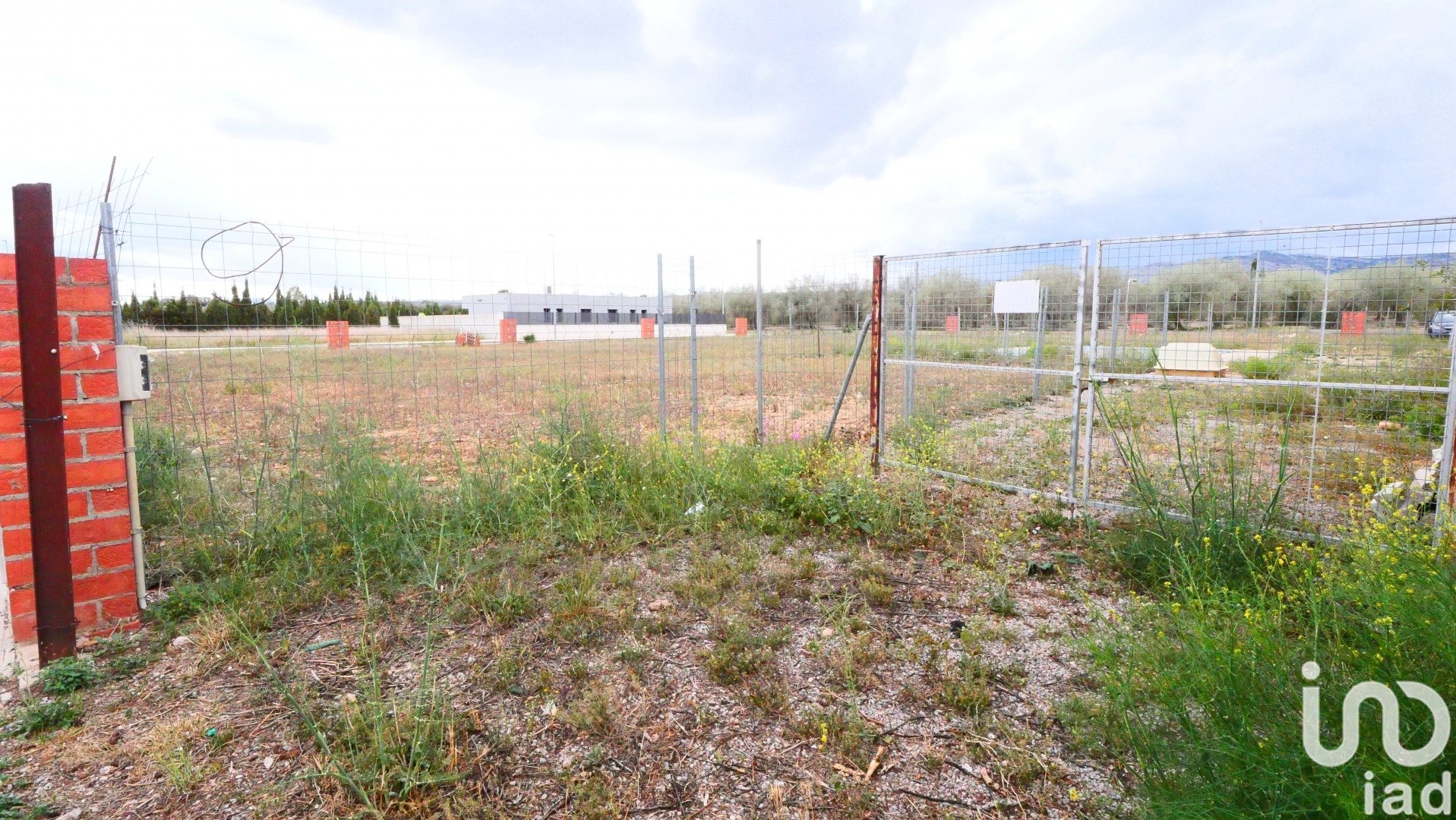 Land plot in Sant Mateu, Castellon, Spain 3260 sq.m. No. 153951