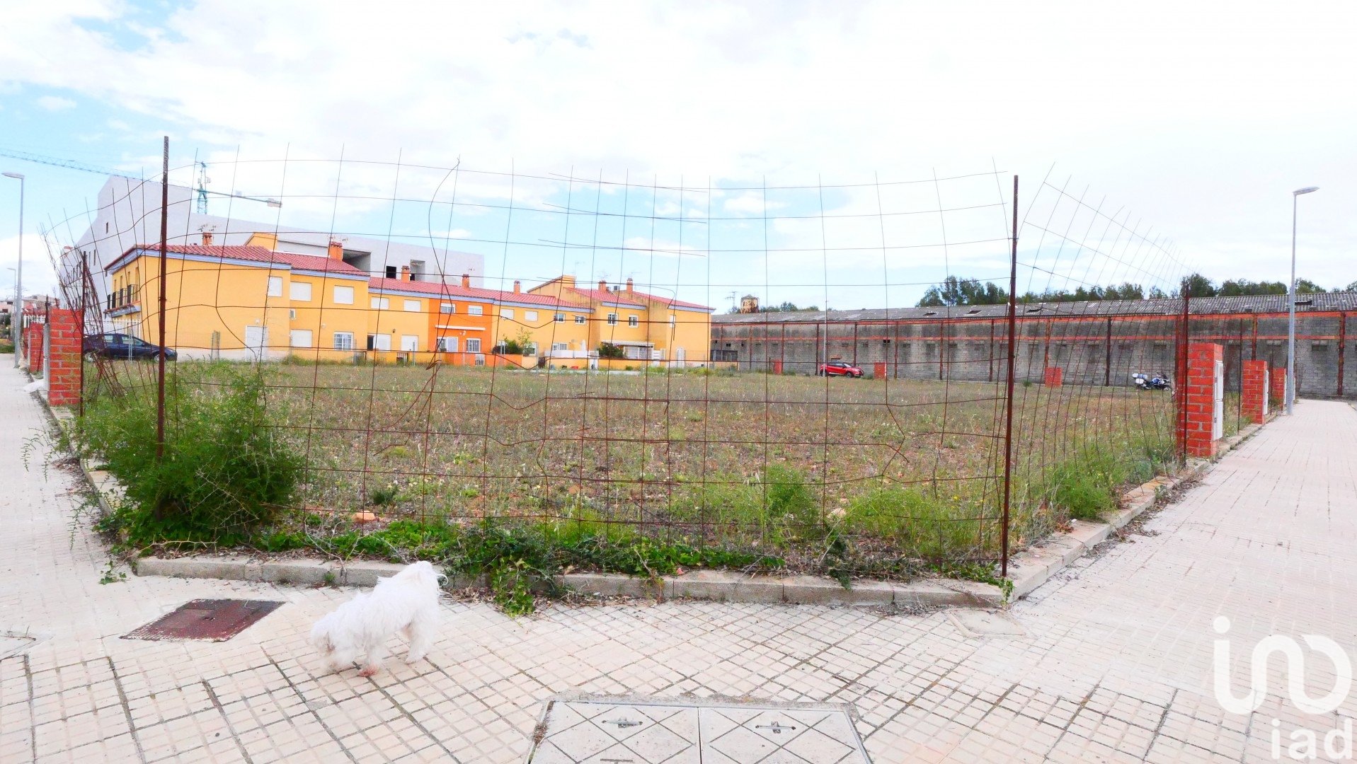 Land plot in Sant Mateu, Castellon, Spain 3260 sq.m. No. 153951