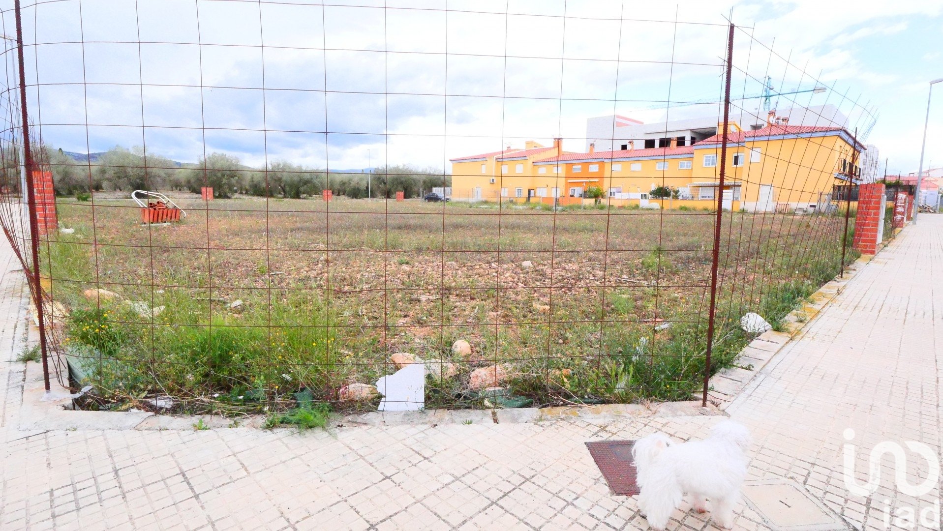 Land plot in Sant Mateu, Castellon, Spain 3260 sq.m. No. 153951