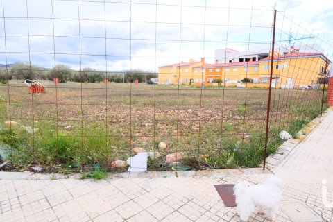 Działka w Sant Mateu, Castellon, Hiszpania 3260 mkw. nr 153951