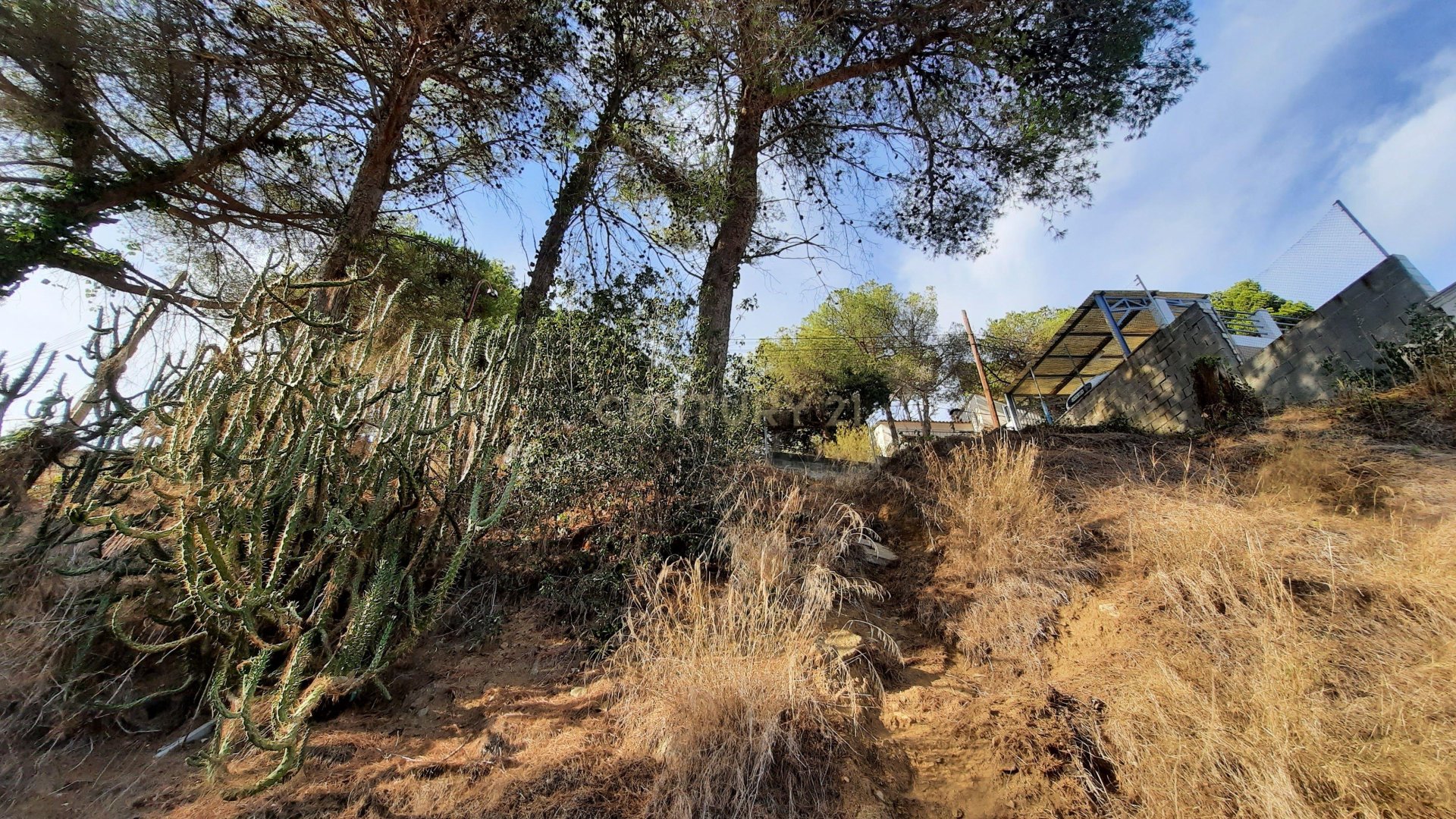House à Argentona, Barcelona, Espagne 1 chambre, 341 m2 No. 181313