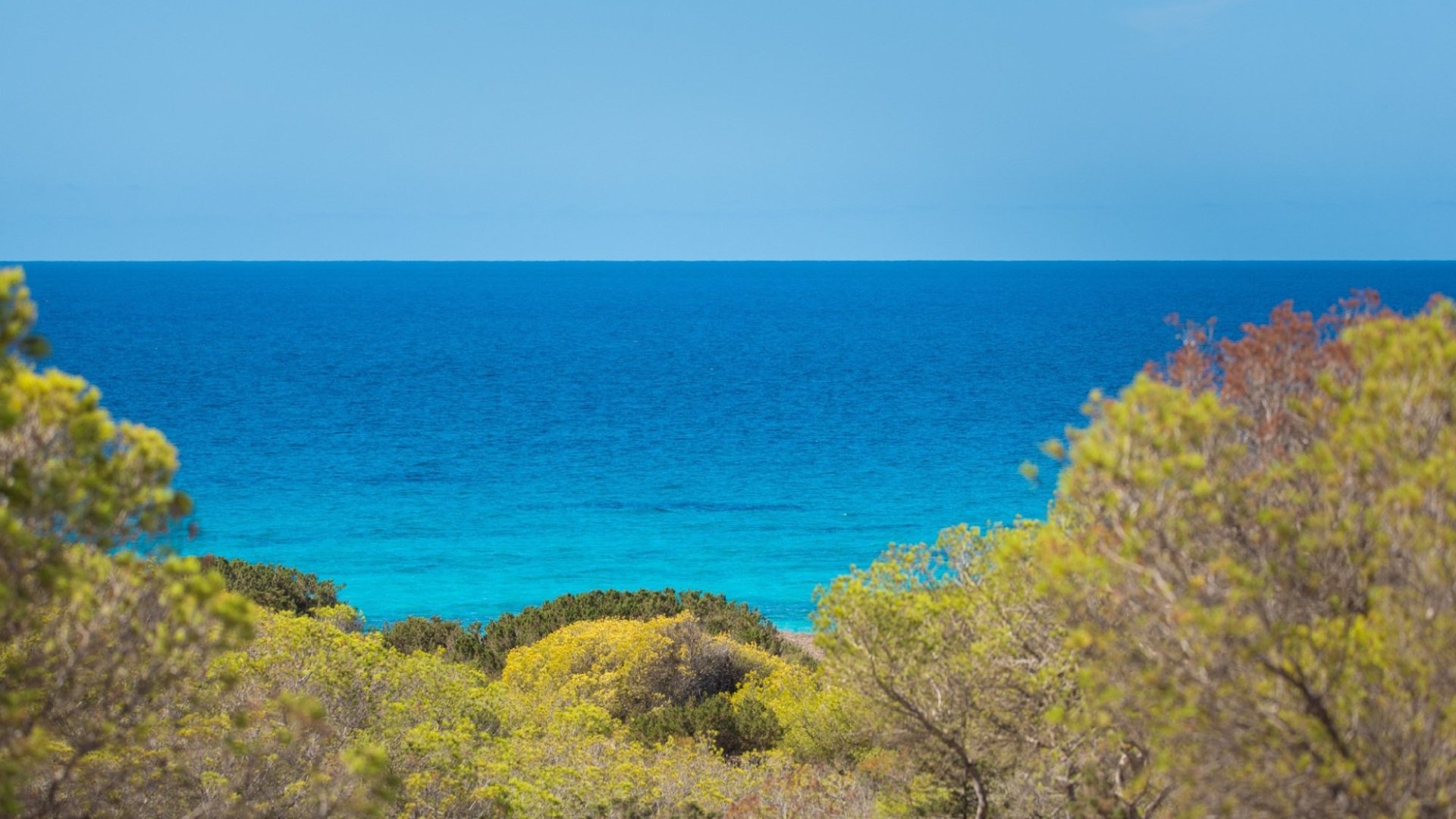Willa w Formentera, Hiszpania 5 sypialni, 300 mkw. nr 180552