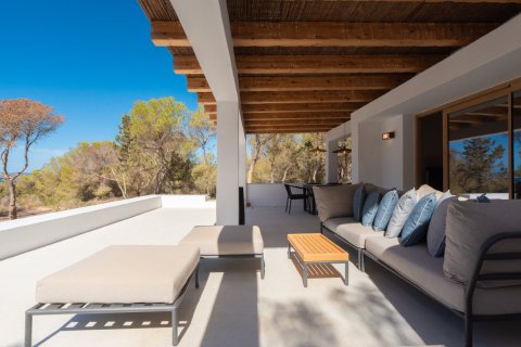 Willa w Formentera, Hiszpania 5 sypialni, 300 mkw. nr 180552