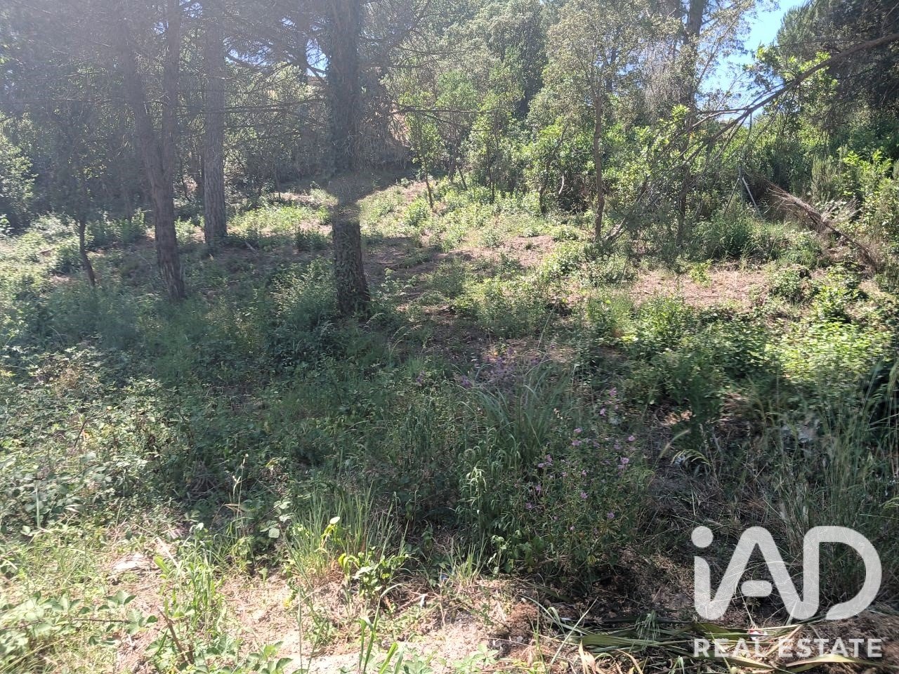 Terreno a Lloret de Mar, Girona, Spagna 890 mq. N° 194374
