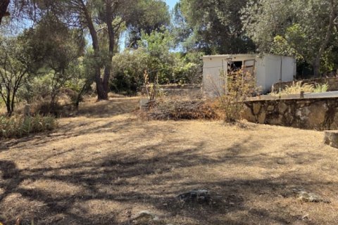 Tontti San Martin de Valdeiglesias, Madrid, Espanja 1050 m2 No. 194375