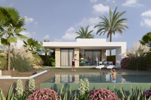 Villa in Lomas De La Juliana, Alicante, Spanien 3 Schlafzimmer, 442 m2 Nr. 189436