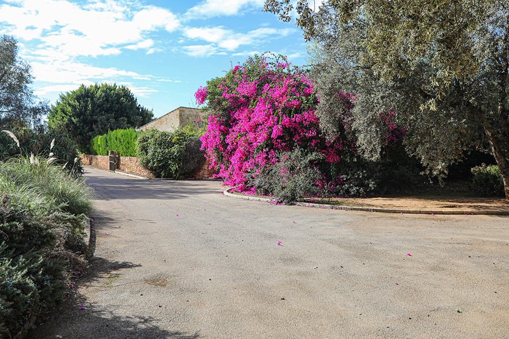Gewerbeimmobilien in Llucmajor, Mallorca, Spanien 20 Schlafzimmer, 2000 m2 Nr. 147940