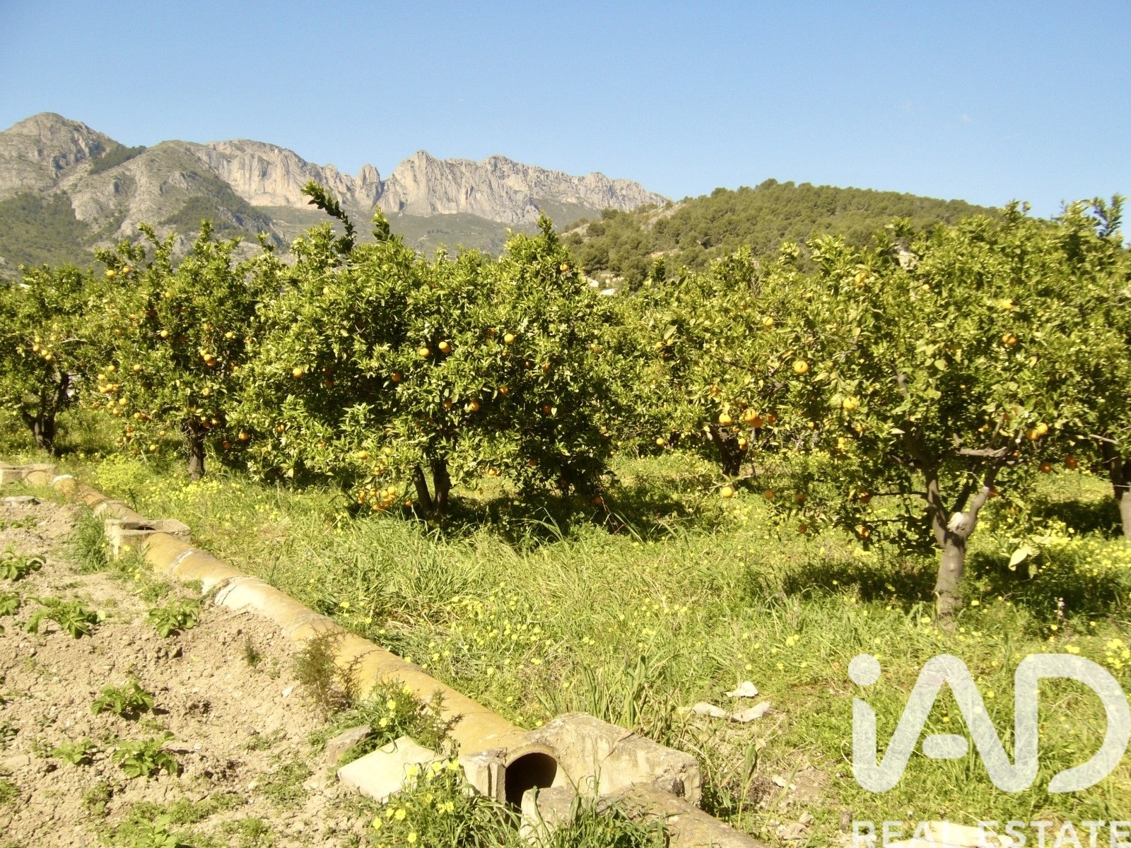 Zemes gabals Polop, Alicante, Spānijā 1900 m2 Nr. 185286