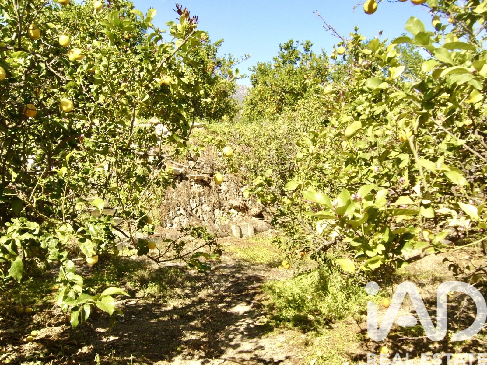 Zemes gabals Polop, Alicante, Spānijā 1900 m2 Nr. 185286