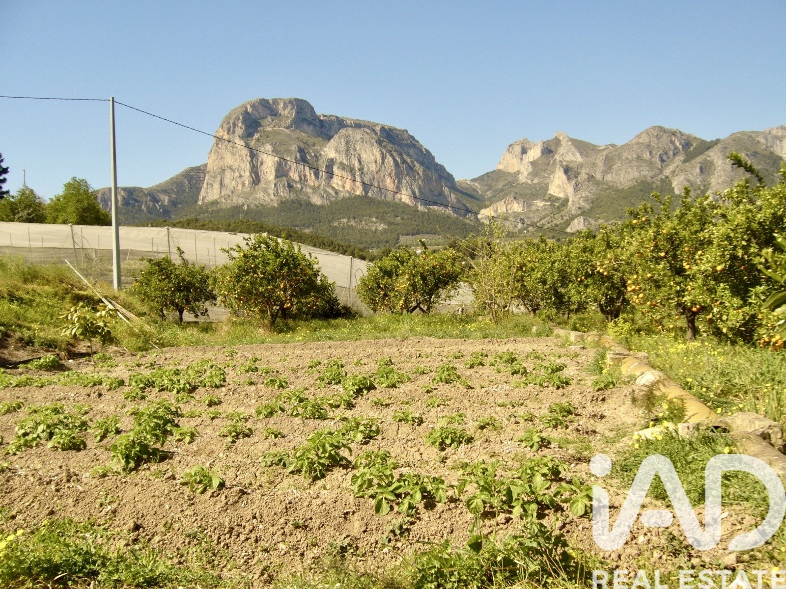 Zemes gabals Polop, Alicante, Spānijā 1900 m2 Nr. 185286
