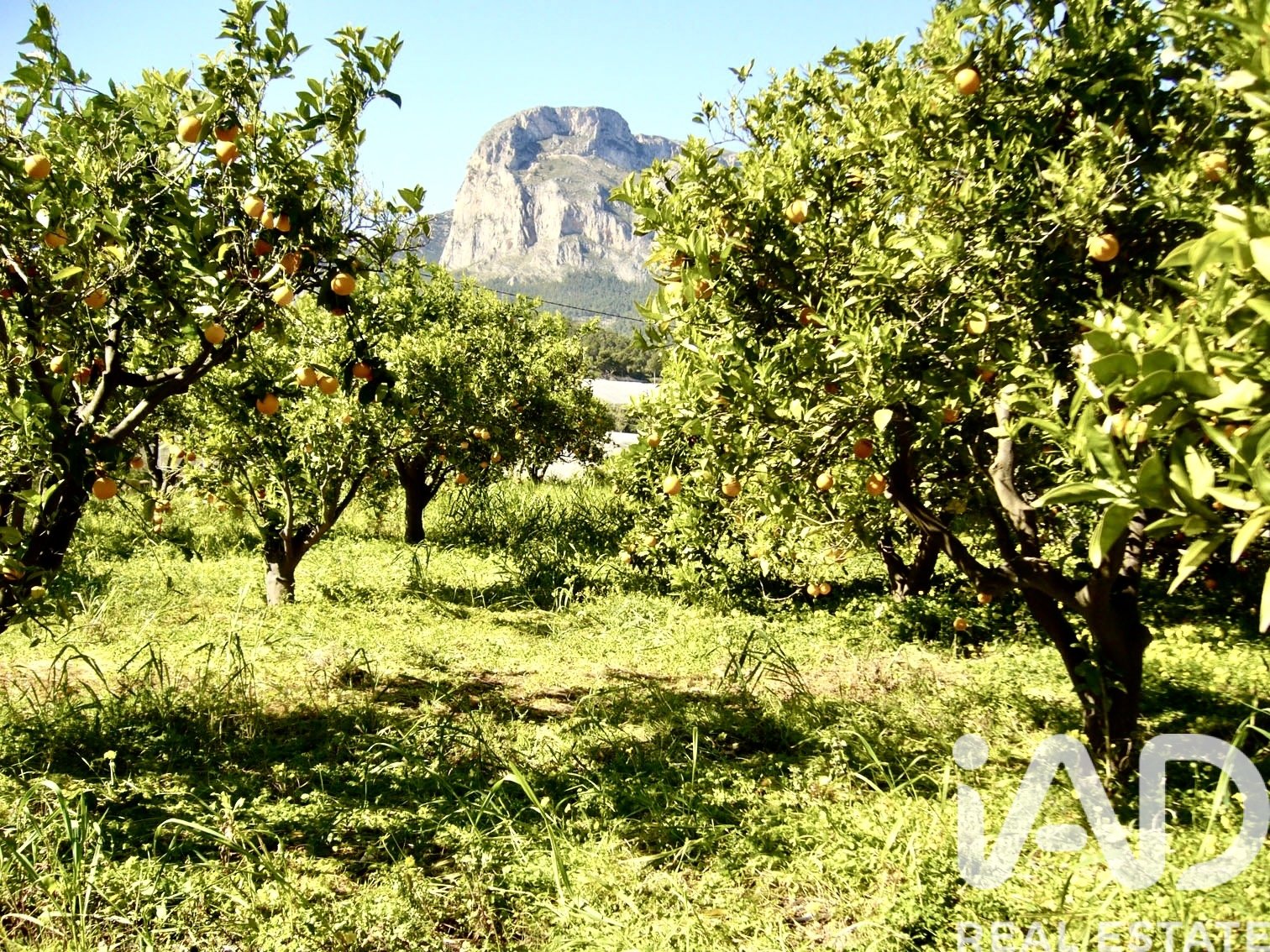 Zemes gabals Polop, Alicante, Spānijā 1900 m2 Nr. 185286