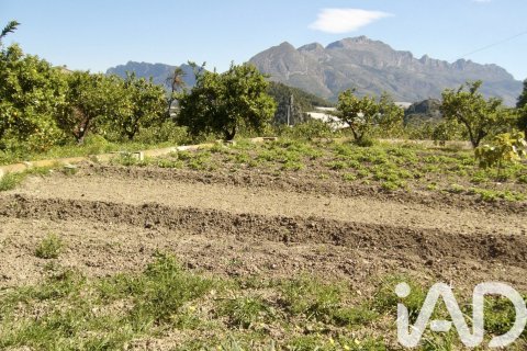 Land plot in Polop, Alicante, Spain 1900 sq.m. No. 185286