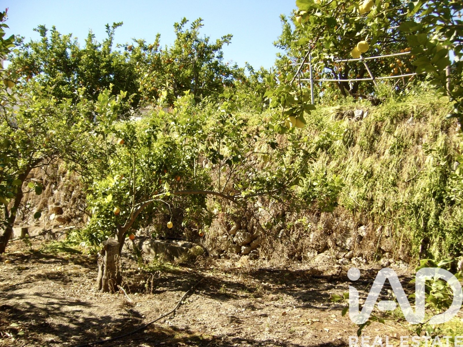 Zemes gabals Polop, Alicante, Spānijā 1900 m2 Nr. 185286