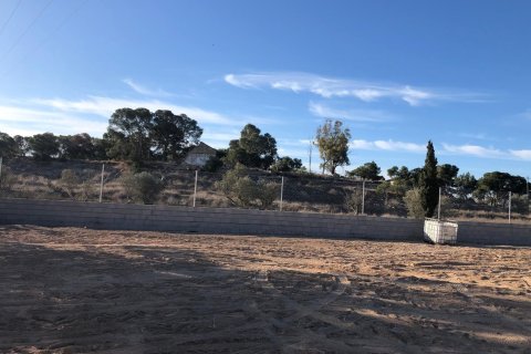 Parcela en San Vicente del Raspeig, Alicante, España No. 183065
