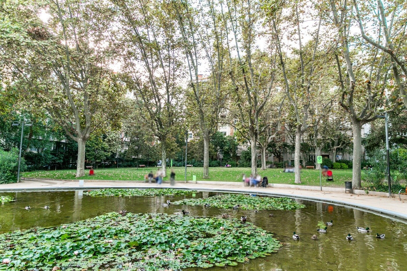 Appartamento a Barcelona, Spagna 5 camere da letto,  N° 141015