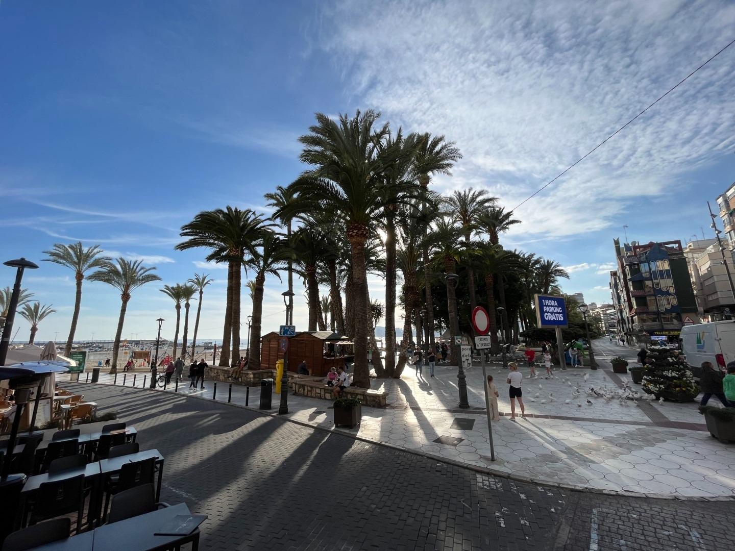 Kommersiell fastighet i Benidorm, Alicante, Spanien 597 kvm. Nr. 165336