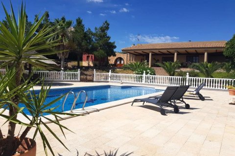 Villa in El Esparragal, Murcia, Spain 4 bedrooms, 1000 sq.m. No. 133278
