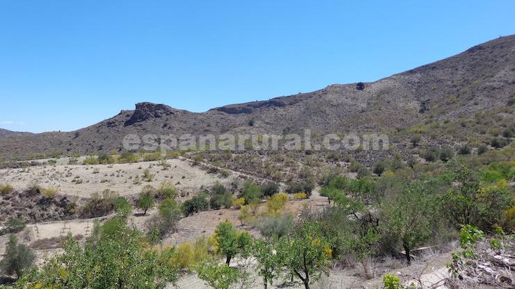 House in Lubrin, Almeria, Spain 6 bedrooms, 212 sq.m. No. 184042