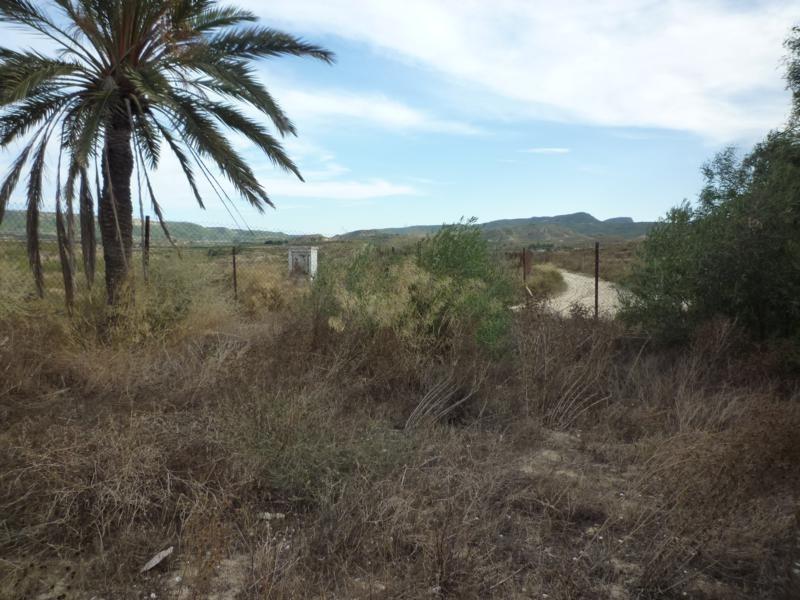 Dom w Orihuela, Alicante, Hiszpania nr 184215