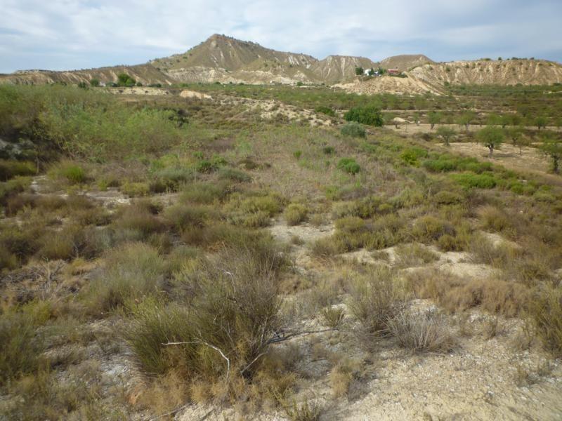 Dom w Orihuela, Alicante, Hiszpania nr 184215