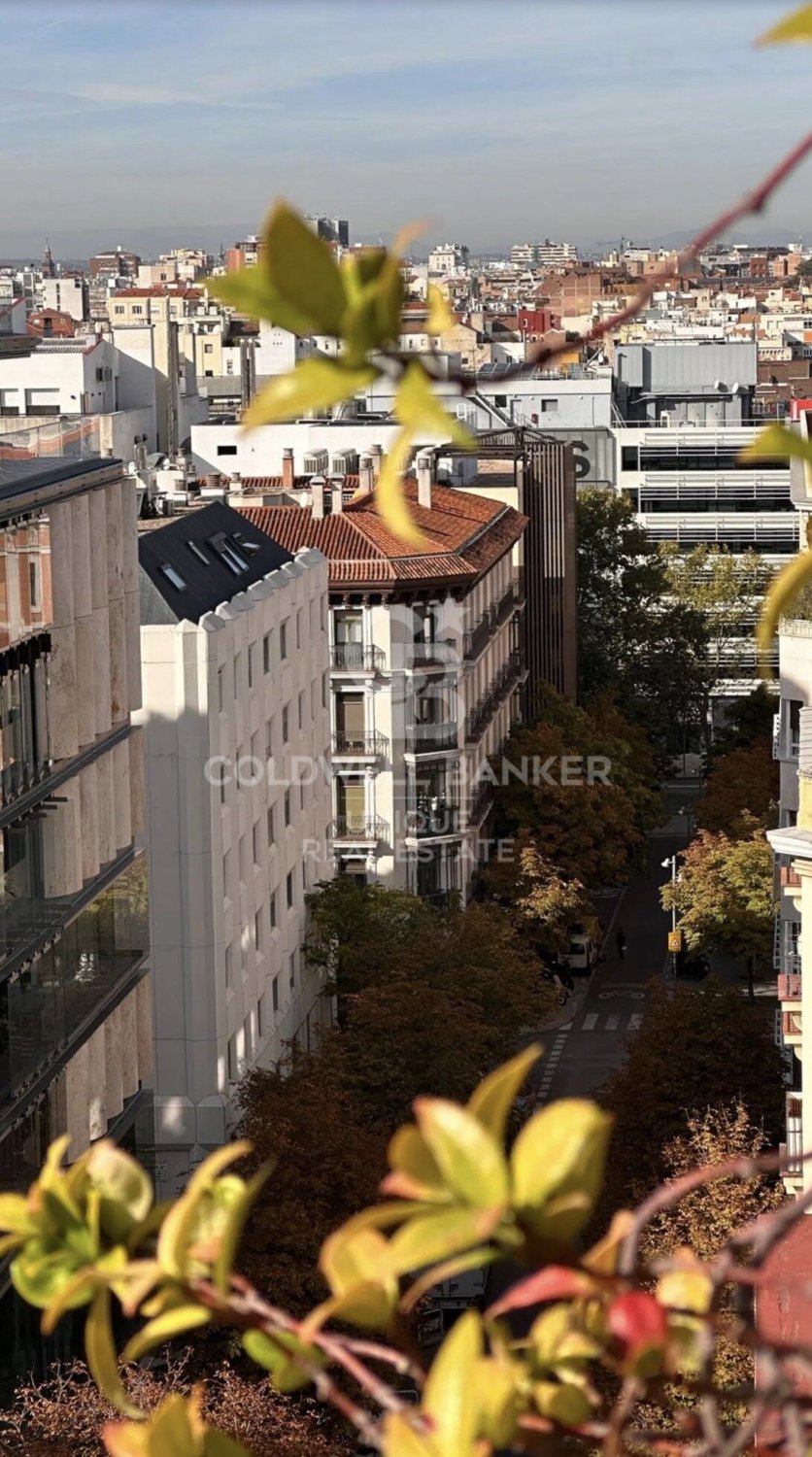 Penthauss Madrid, Spānijā 4 istabas, 282 m2 Nr. 157260