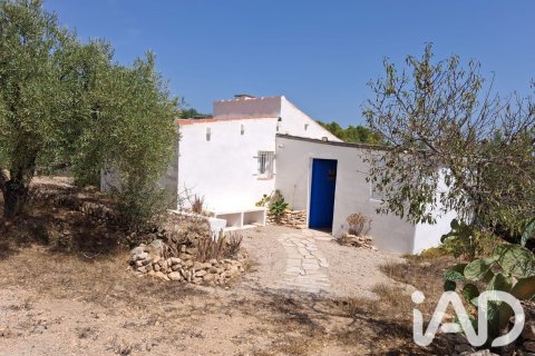 Zemes gabals Tortosa, Tarragona, Spānijā 10179 m2 Nr. 195766