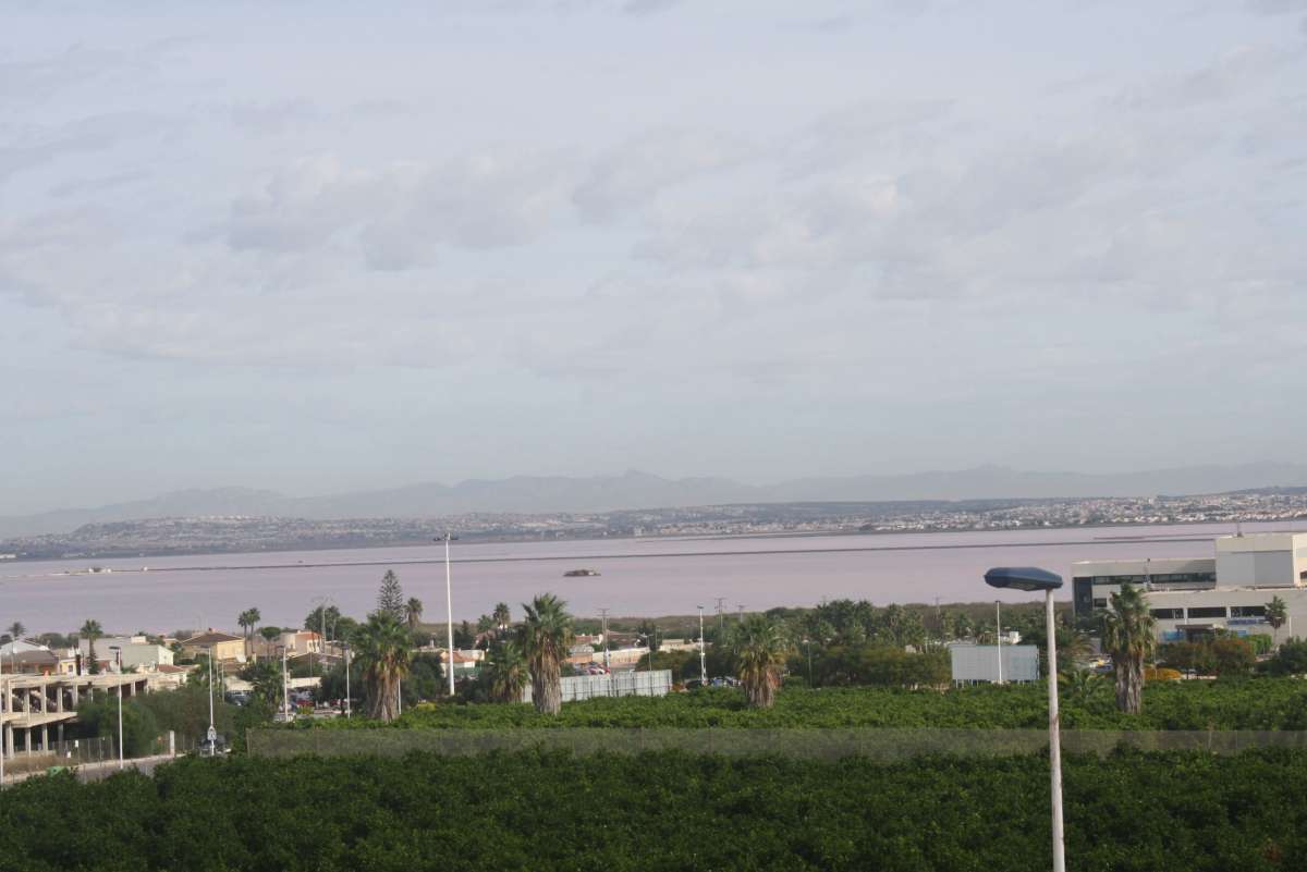 Talo Torrevieja, Alicante, Espanja 2 makuuhuonetta, 225 m2 No. 175291