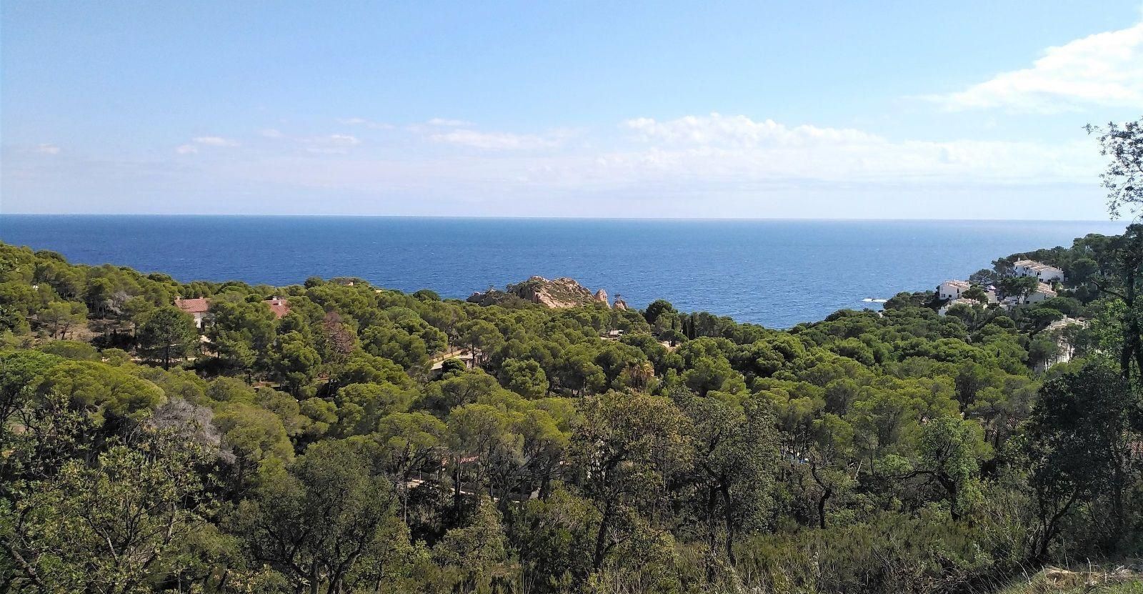 House à Palafrugell, Girona, Espagne 5 chambres, 560 m2 No. 160707