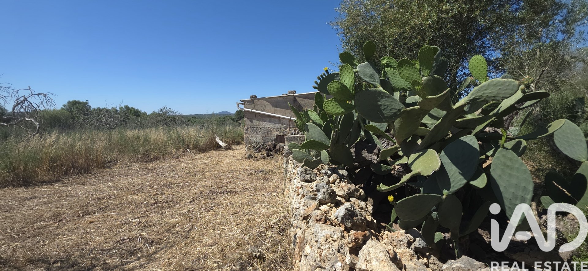 Tomt i Santa Margalida, Mallorca, Spanien 6160 kvm. Nr. 184668