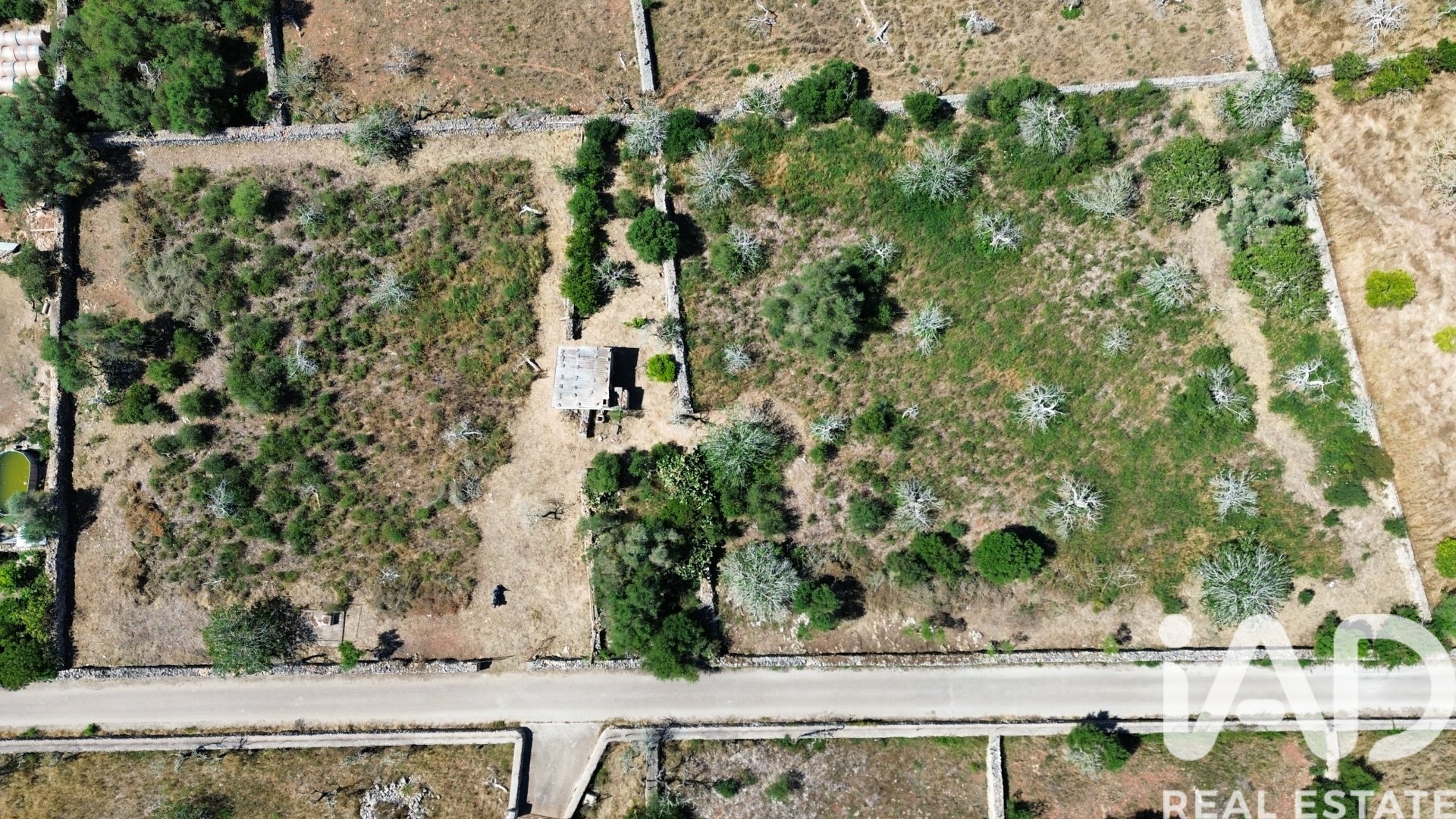 Tomt i Santa Margalida, Mallorca, Spanien 6160 kvm. Nr. 184668