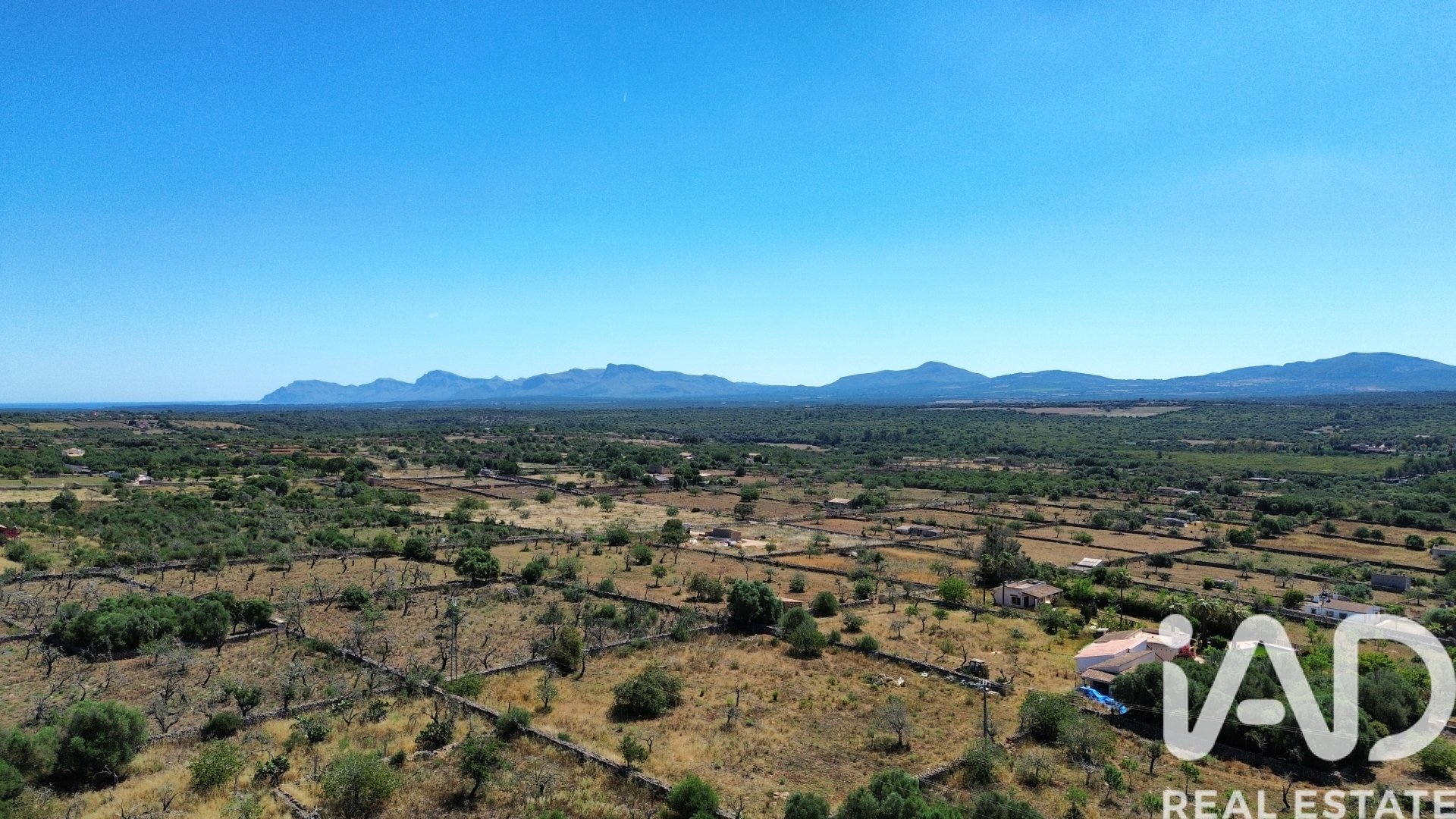 Tomt i Santa Margalida, Mallorca, Spanien 6160 kvm. Nr. 184668