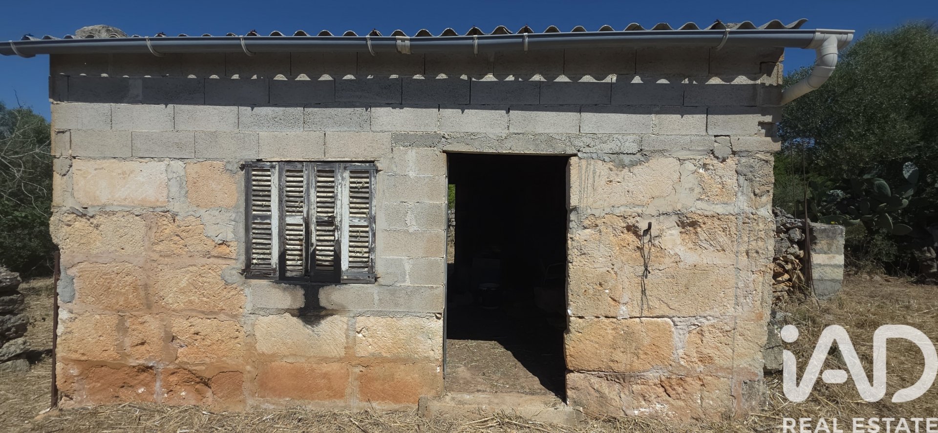 Tomt i Santa Margalida, Mallorca, Spanien 6160 kvm. Nr. 184668