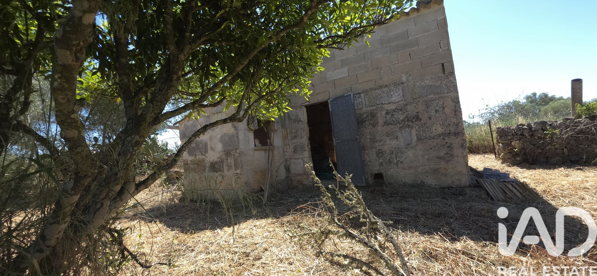 Tomt i Santa Margalida, Mallorca, Spanien 6160 kvm. Nr. 184668