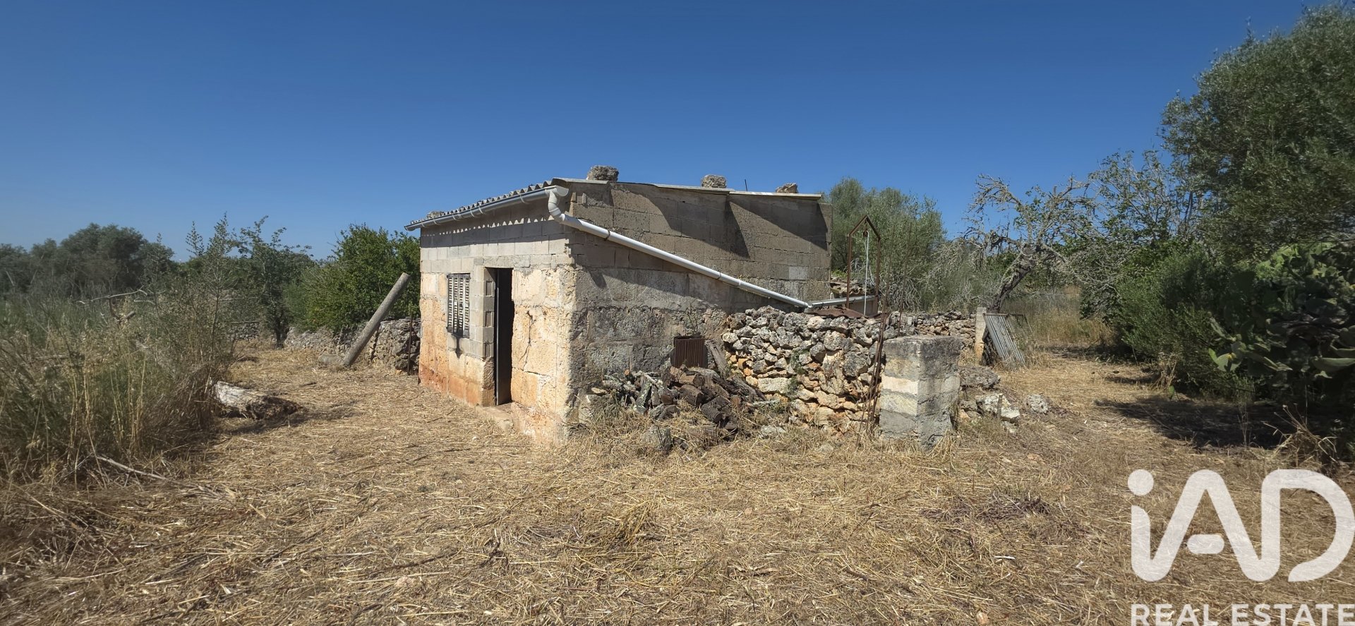 Tomt i Santa Margalida, Mallorca, Spanien 6160 kvm. Nr. 184668