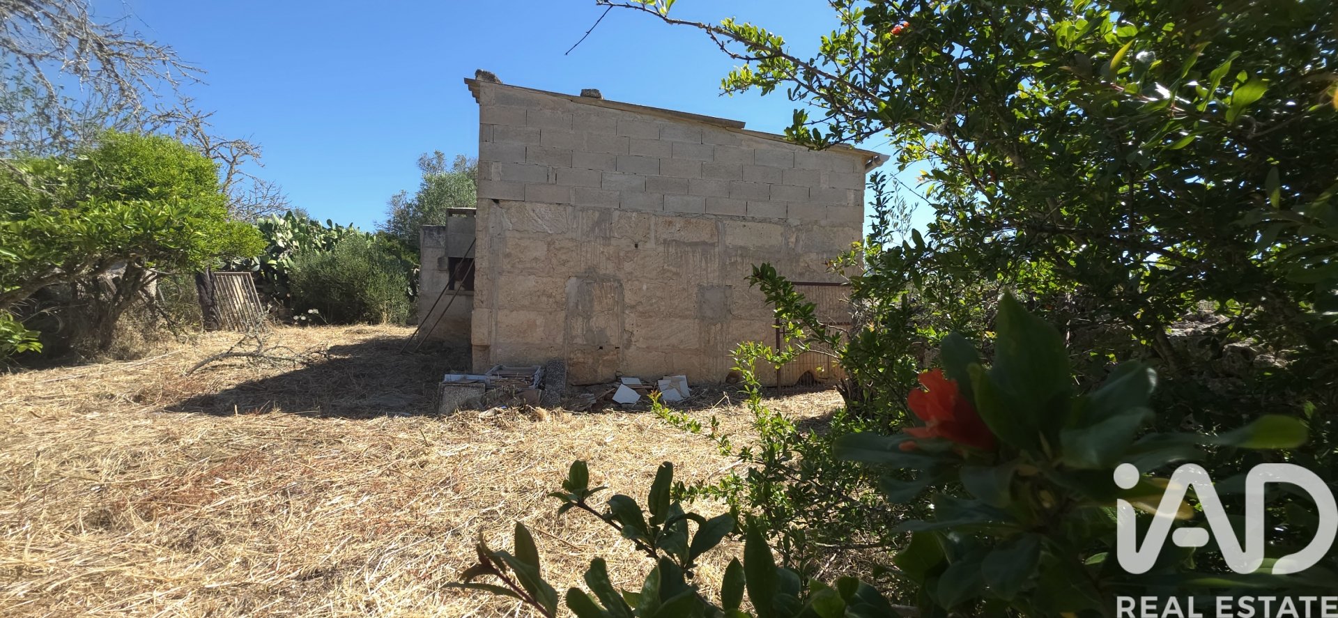 Tomt i Santa Margalida, Mallorca, Spanien 6160 kvm. Nr. 184668