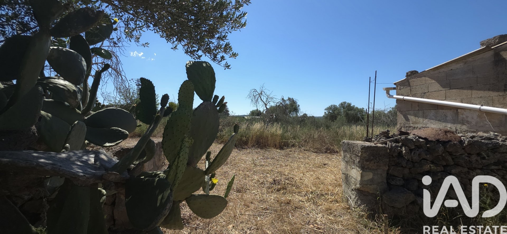Tomt i Santa Margalida, Mallorca, Spanien 6160 kvm. Nr. 184668