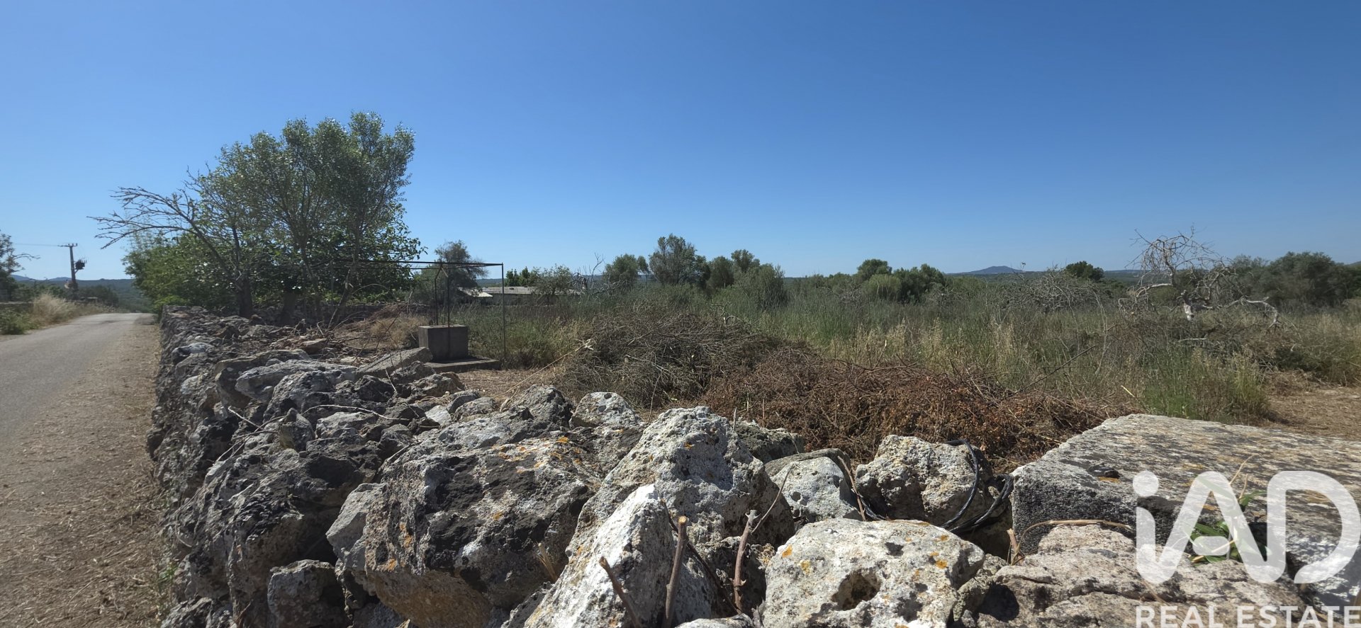 Tomt i Santa Margalida, Mallorca, Spanien 6160 kvm. Nr. 184668