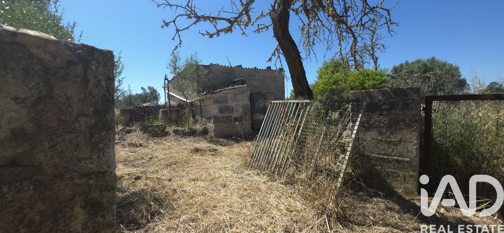 Tomt i Santa Margalida, Mallorca, Spanien 6160 kvm. Nr. 184668