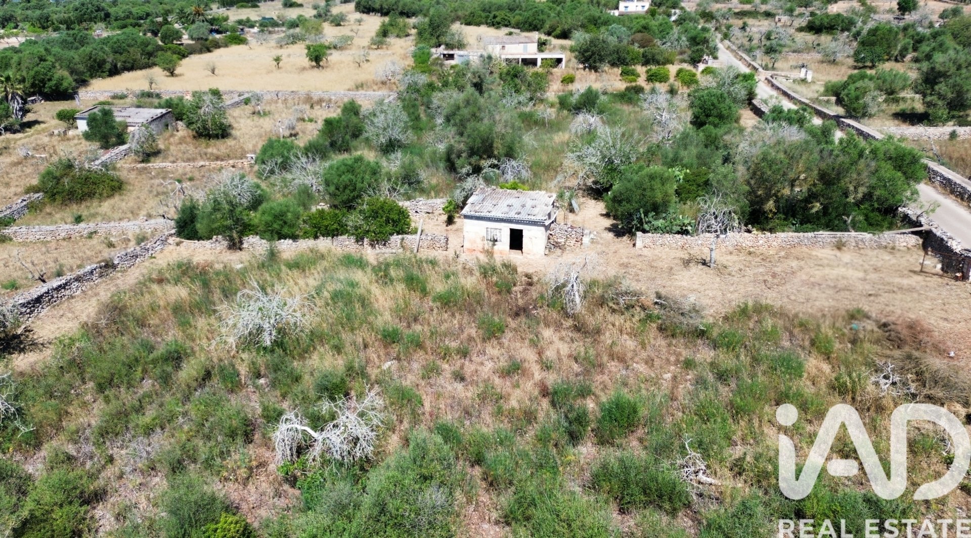 Tomt i Santa Margalida, Mallorca, Spanien 6160 kvm. Nr. 184668