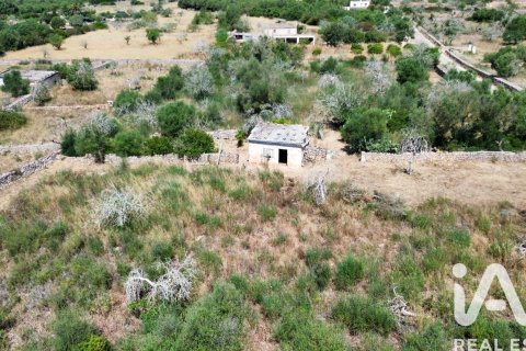 Land plot in Santa Margalida, Mallorca, Spain 6160 sq.m. No. 184668