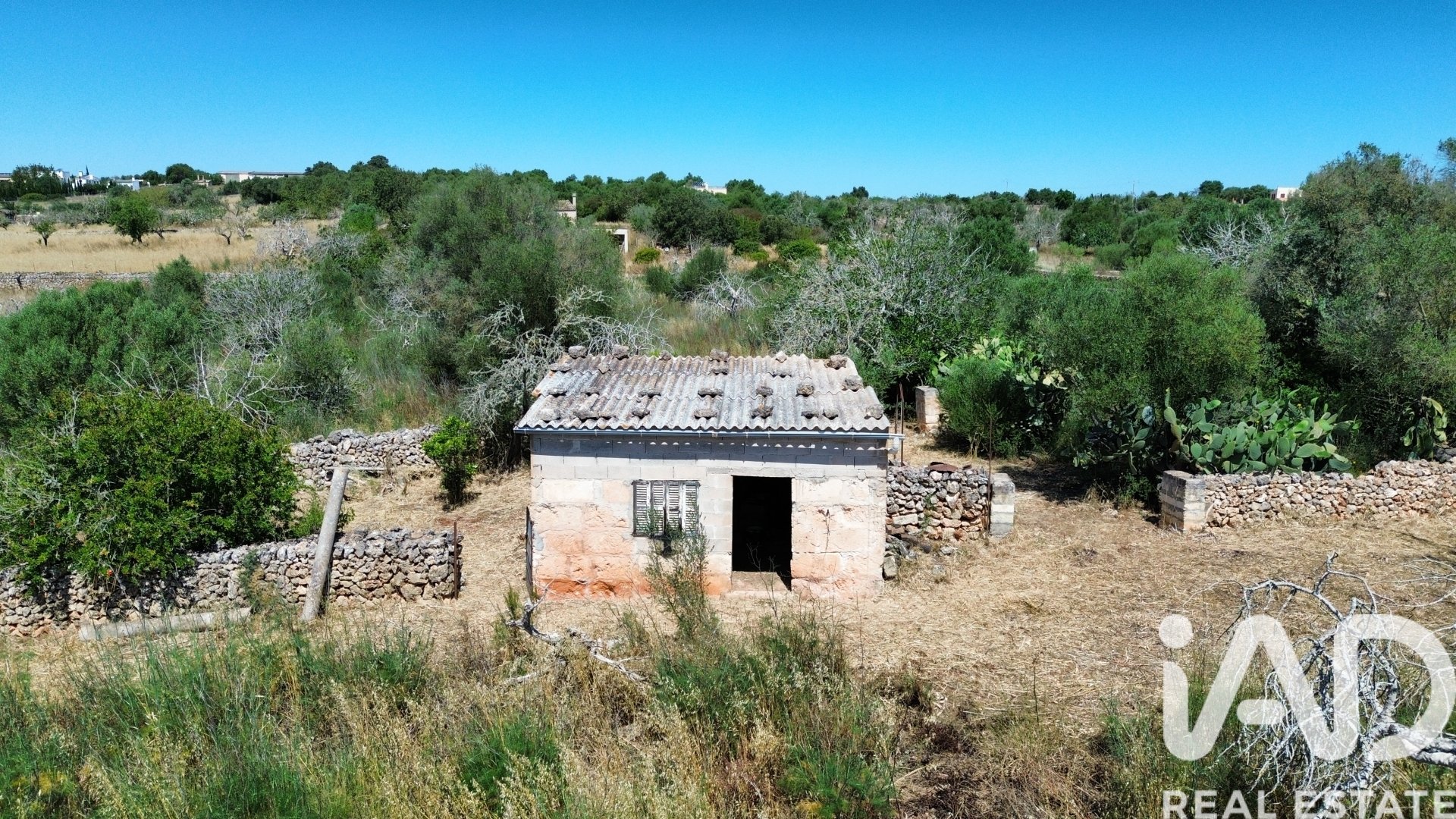 Tomt i Santa Margalida, Mallorca, Spanien 6160 kvm. Nr. 184668