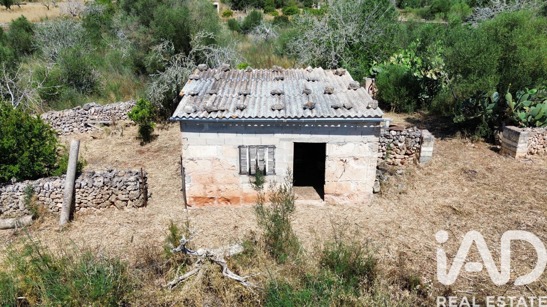 Tomt i Santa Margalida, Mallorca, Spanien 6160 kvm. Nr. 184668
