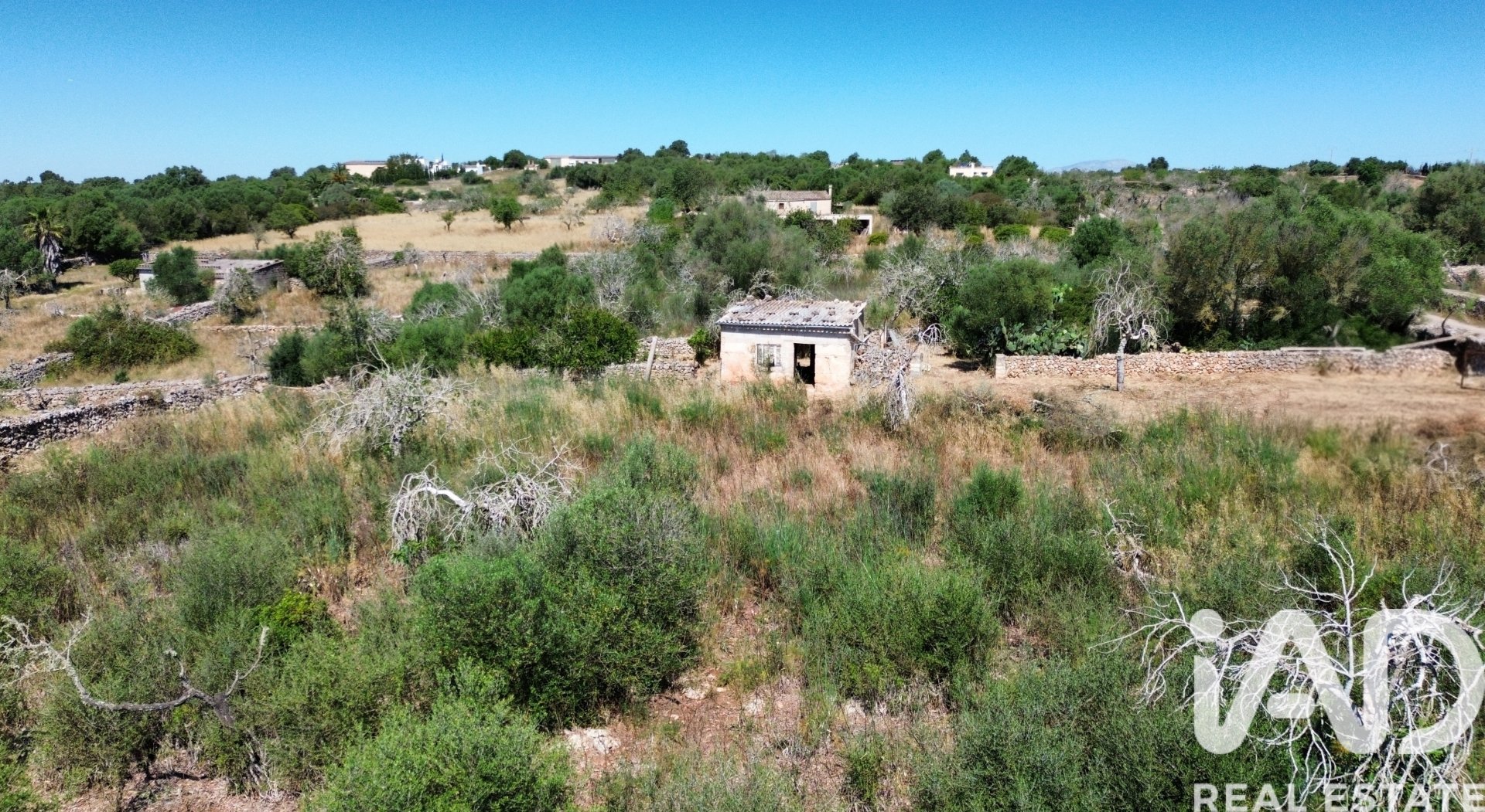 Tomt i Santa Margalida, Mallorca, Spanien 6160 kvm. Nr. 184668