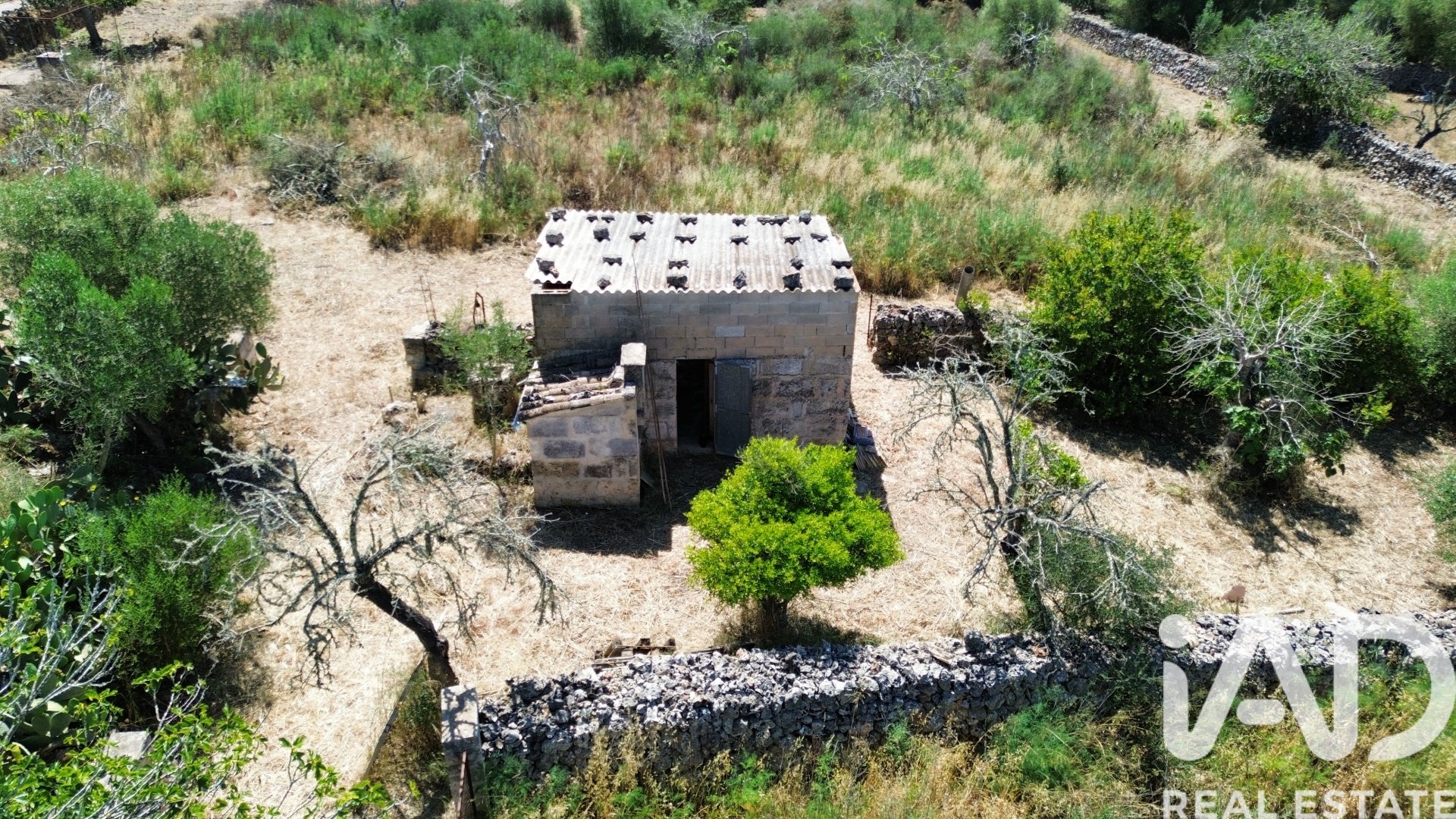 Tomt i Santa Margalida, Mallorca, Spanien 6160 kvm. Nr. 184668